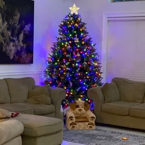 Meet your Posher, Kaitlin